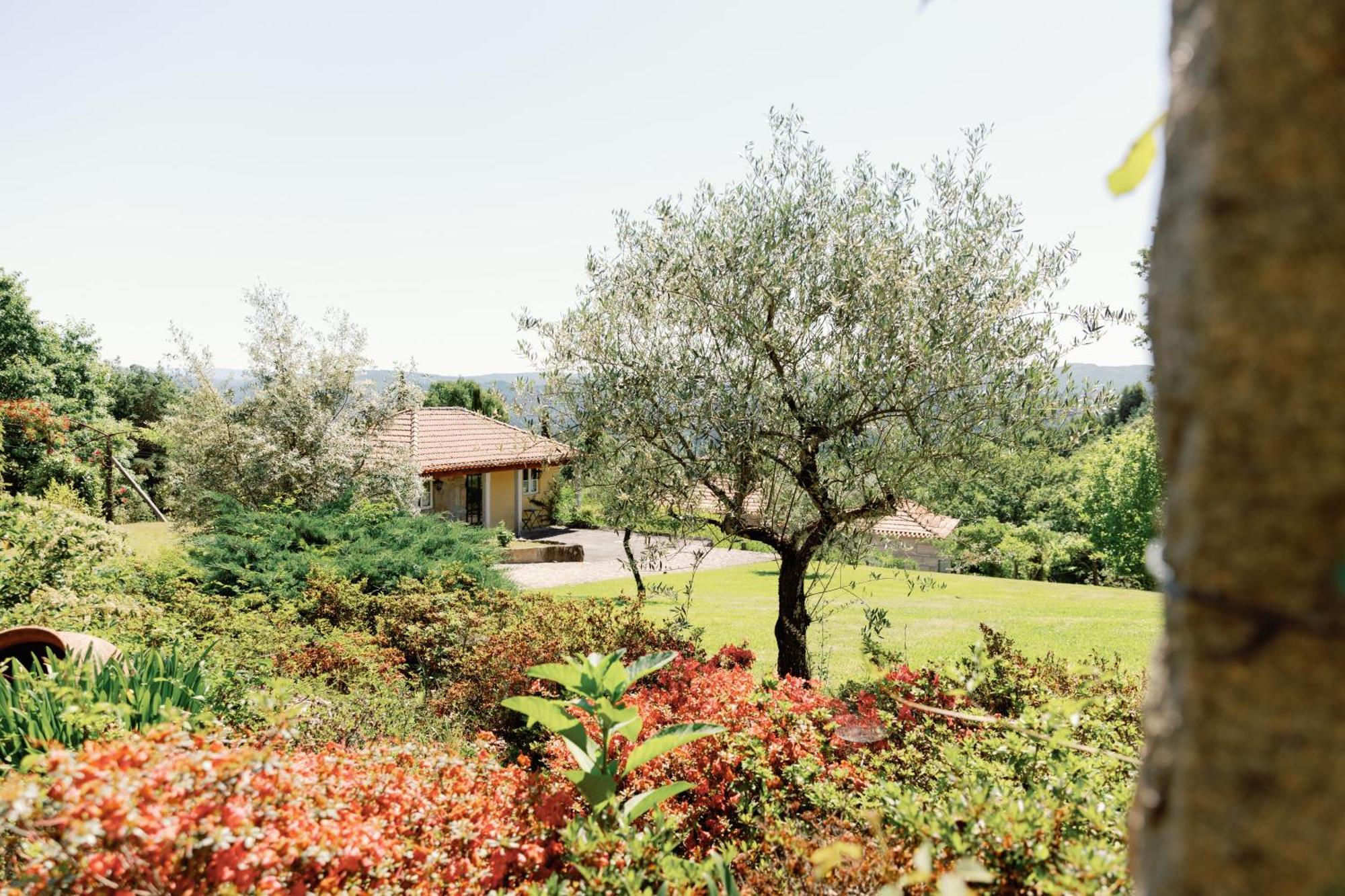 The Fox House - Private Villa & Nature São Pedro do Sul Kültér fotó